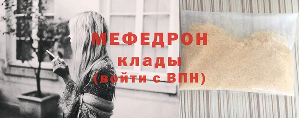 индика Михайловск