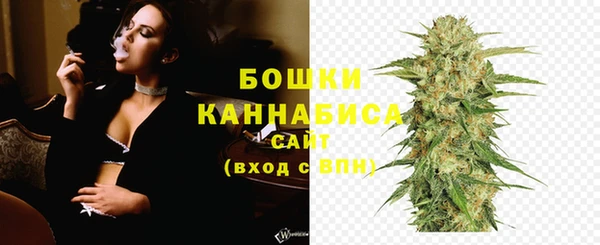 индика Михайловск