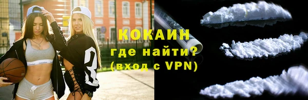 шишки Михайлов