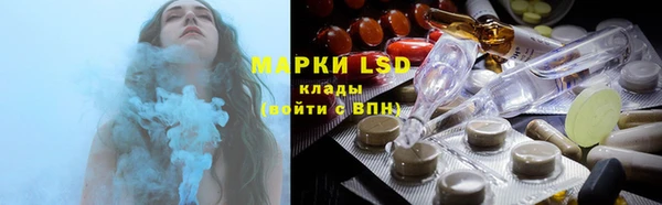 индика Михайловск
