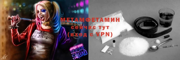 индика Михайловск