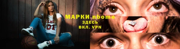 индика Михайловск