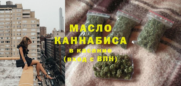 индика Михайловск