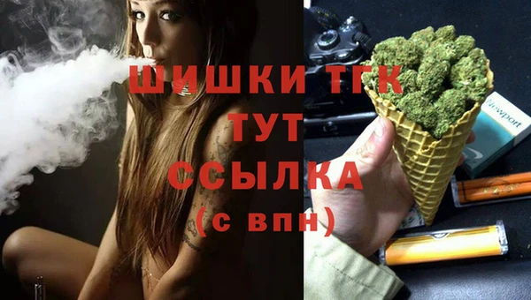 шишки Михайлов