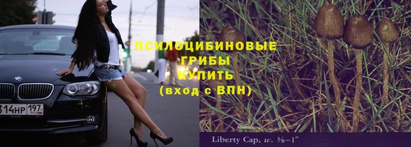 индика Михайловск