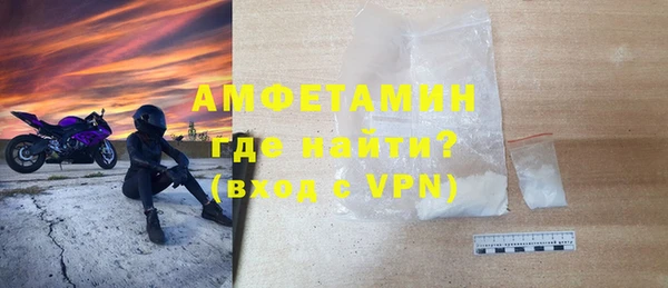 индика Михайловск