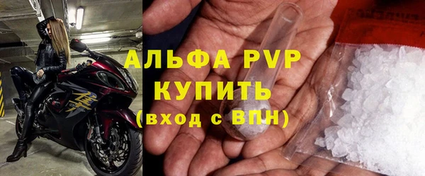 индика Михайловск