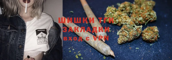 индика Михайловск