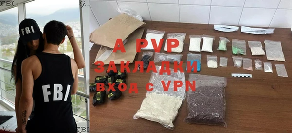 индика Михайловск